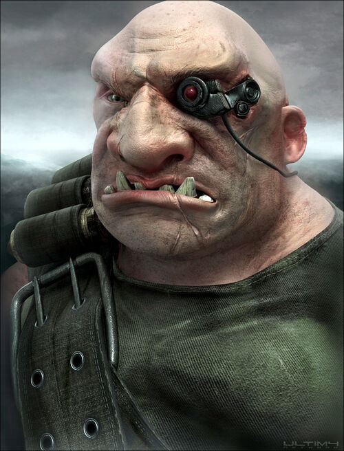 Image - Ogryn serving in the Imperial Guard.jpg - Warhammer 40K Wiki - Space Marines, Chaos, planets, and more - Wikia - 500px-Ogryn_serving_in_the_Imperial_Guard