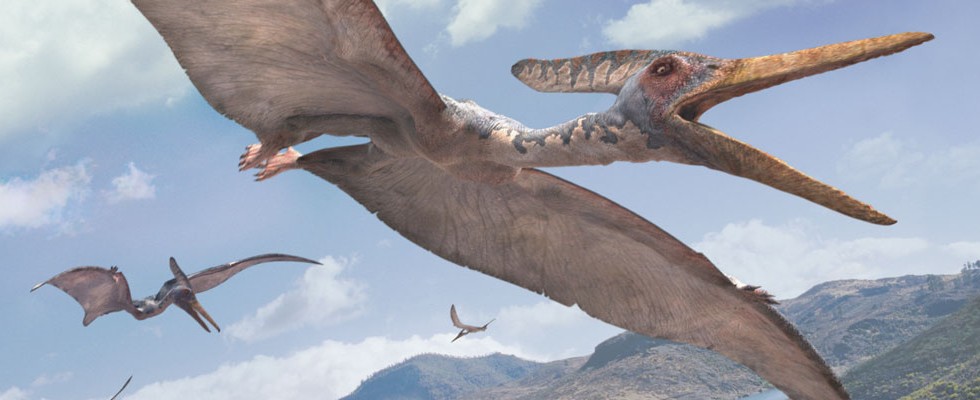 the pteranodon