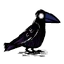 Kruk.png