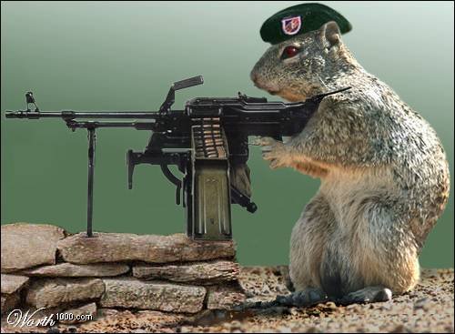 Image   Funny squirrels with guns (2).   Clash of Clans Wiki