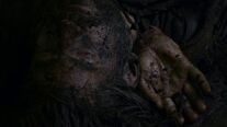 Jaime beaten