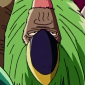 Image - Bald Parrot Portrait.png - The One Piece Wiki - Manga, Anime ...