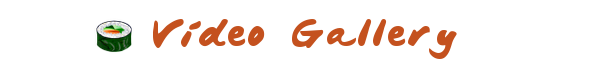 Vidgal