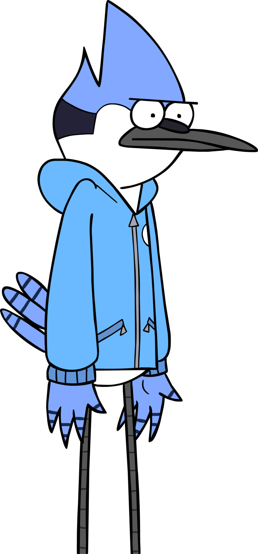 Mordecai Un Show Mas Mordecai Transparent Png X Vrogue Co