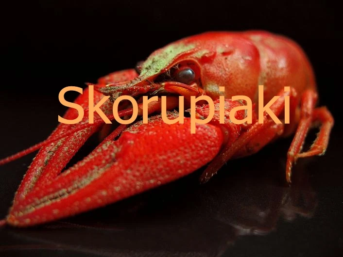 Stawonogi – Mimicpedia Wiki