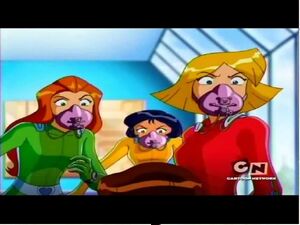 Glory hole much totally spies