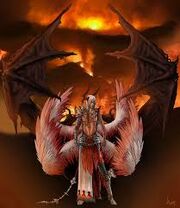Images (72)