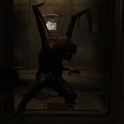 DS1 ES