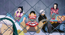 Mugiwaras, Law y G-5 capturados