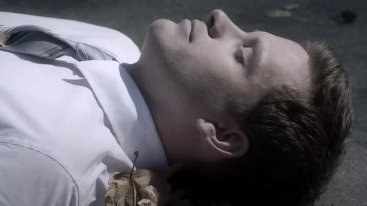Pretty Little Liars Detective Wilden