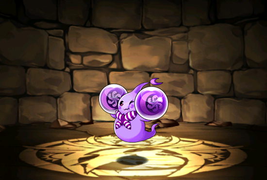 Pet250