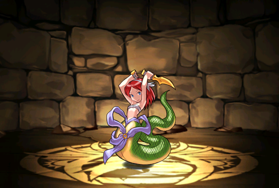 Pet088