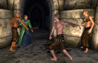 Namira (Quest) Fighting