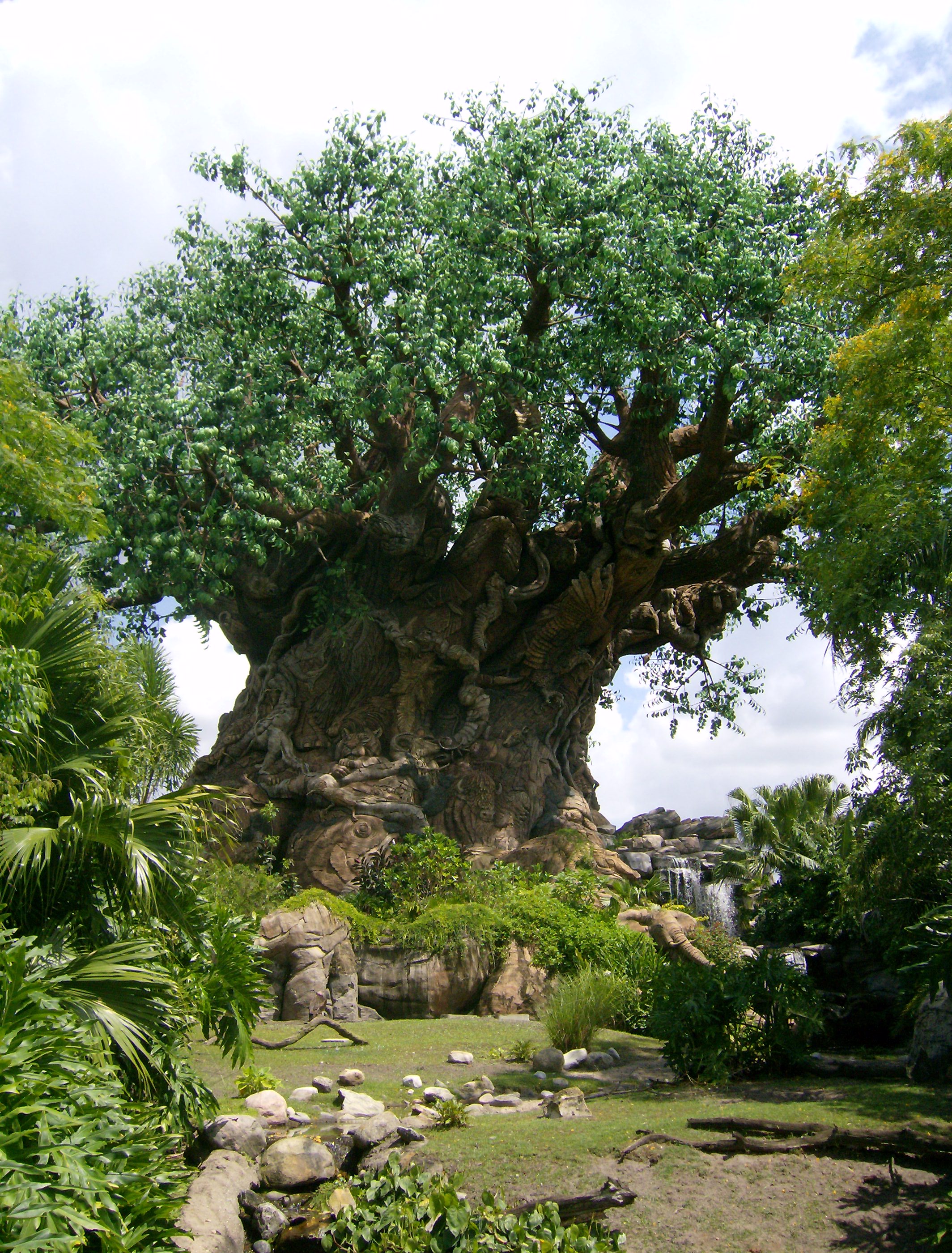 Tree of Life - Disney Wiki