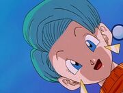 Bulma gt