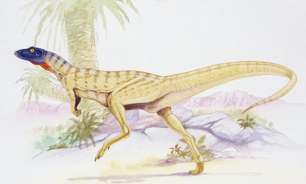 Lesothosaurus - Dinopedia - the free dinosaur encyclopedia