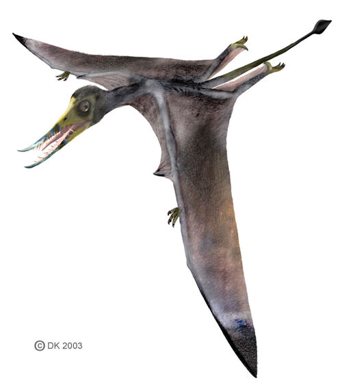 dating dinosaurs wiki 42 index fossils 43 relative dating 44 absolute dating ripples, tracks, petrified wood, dinosaur bones and hard-shelled invertebrates. dating dinosaurs wiki 42 index fossils 43 relative dating 44 absolute dating ripples, tracks, petrified wood, dinosaur bones and hard-shelled invertebrates.
