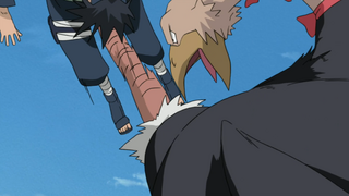 Ostrich rising dragon kick