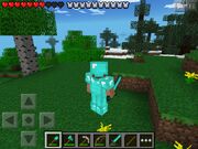 ShovelorSword