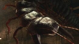 1x2 Arthropleura 10