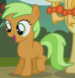 Brown and green Apple filly s03e08