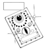 ImaginaryLicense