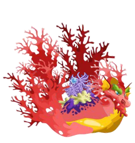 dragon mania legend coral
