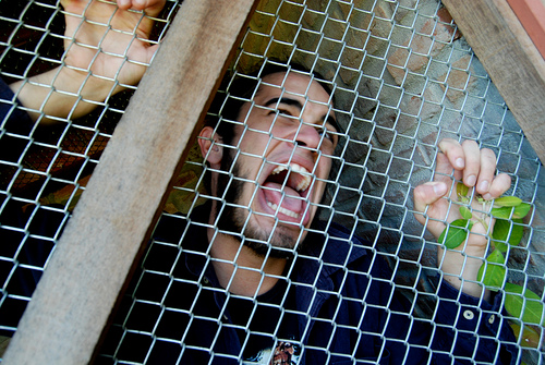 Man-in-cage-flickr-f_mafra.jpg