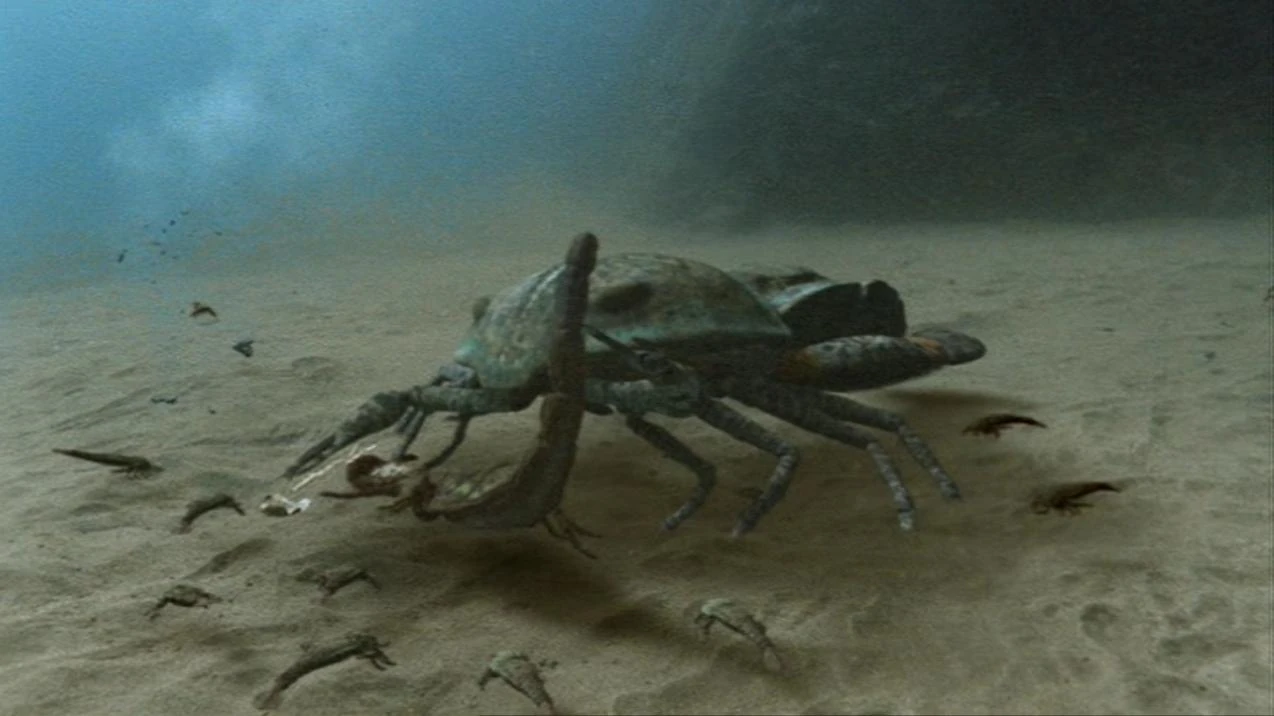 Our 'Once Upon a Time' musical and wedding wish list Pterygotus - Dinopedia - the free dinosaur encyclopedia ...