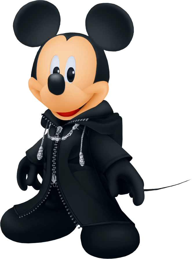 mickey mouse house coat