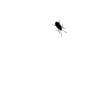 Bug