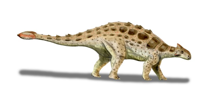dino dan ankylosaurus