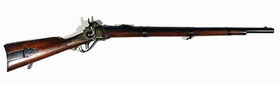 Sharps-rifle
