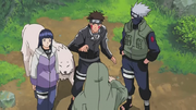 Shino explica la habilidad se sus insectos