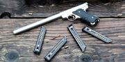 Ruger mk 2