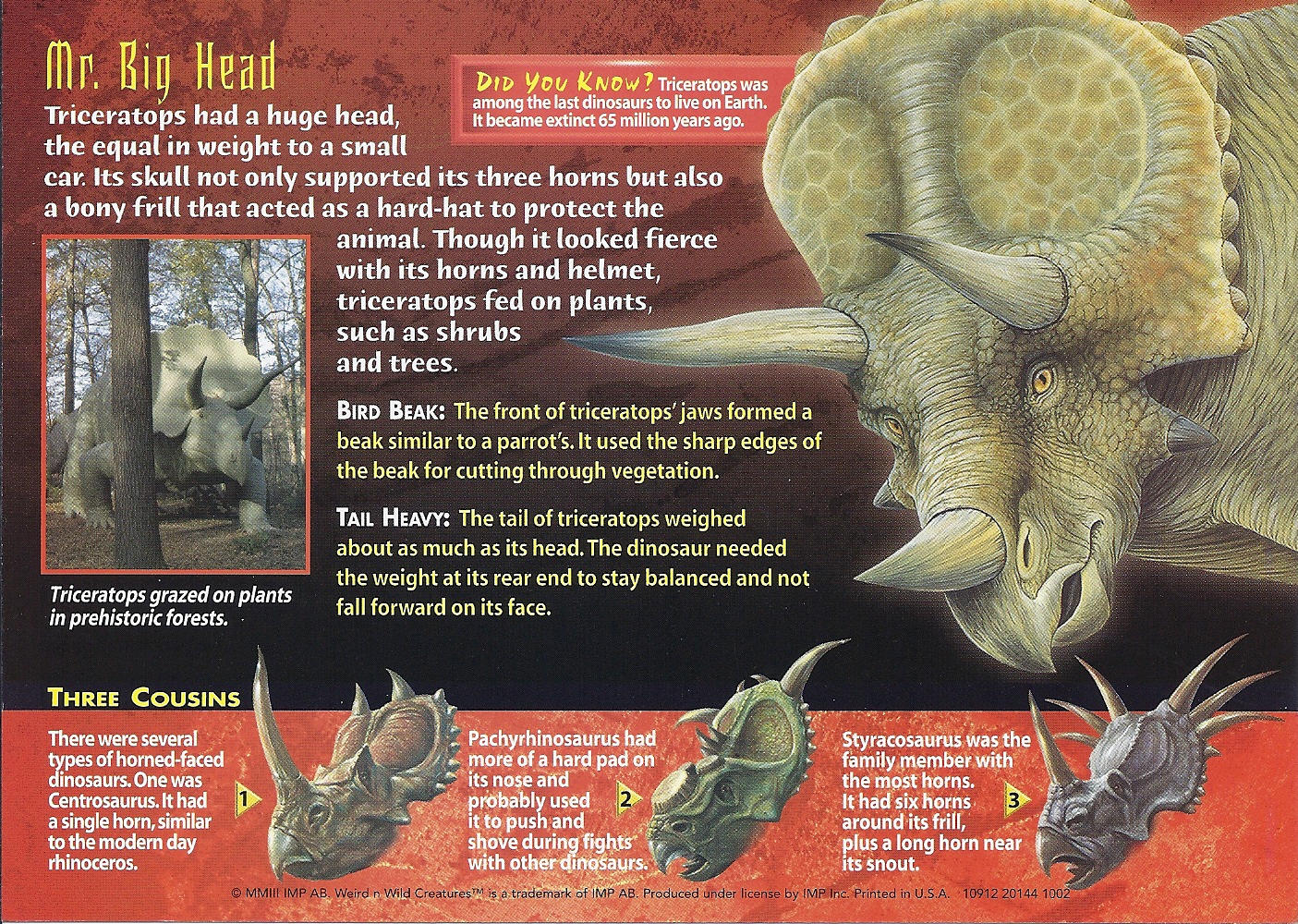 different species of triceratops