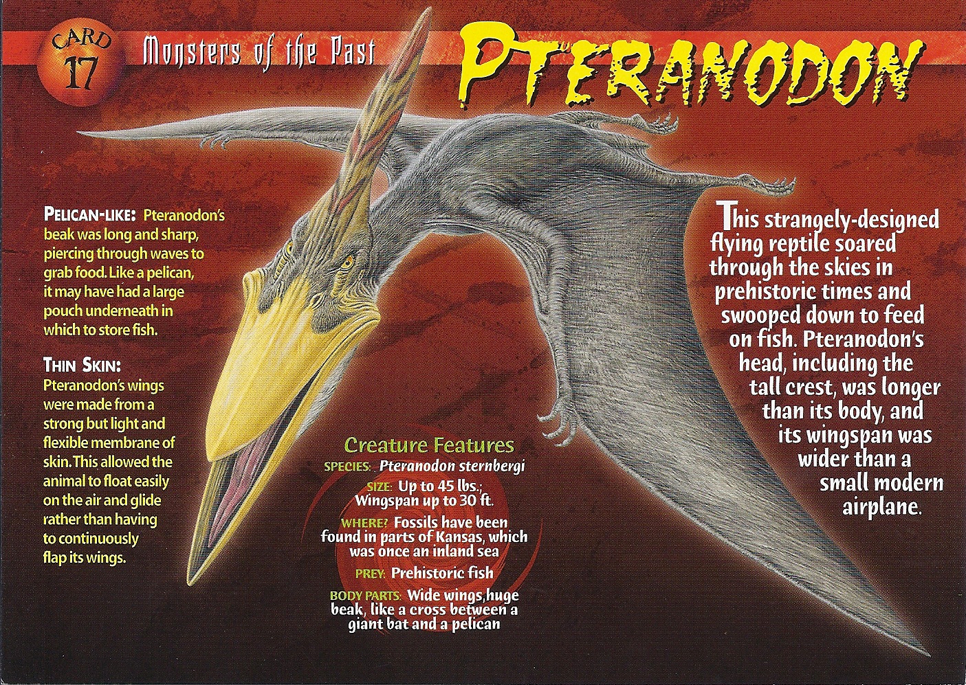 pteranodon 5e