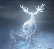 Patronus Harry