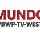 MUNDOFOX NET mundofox net:
