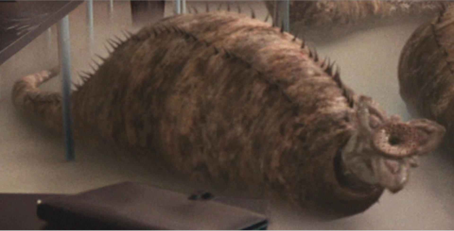 Precambrian Worm Anomaly Research Centre