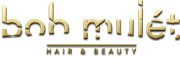 Bmlogo-GTAV