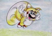 Tails Mario