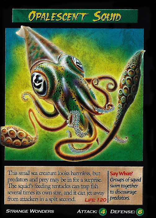 Opalescent Squid Wierd N'wild Creatures Wiki