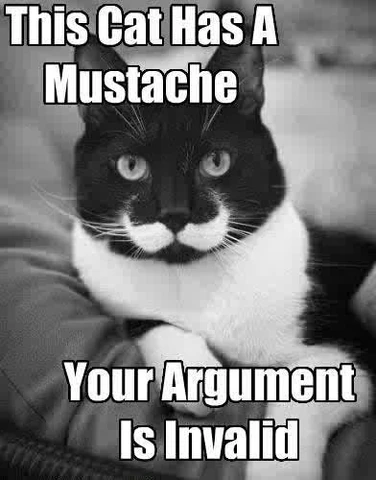 376px-This_Cat_Has_A_Mustache_-_Your_Argument_Is_Invalid.jpg