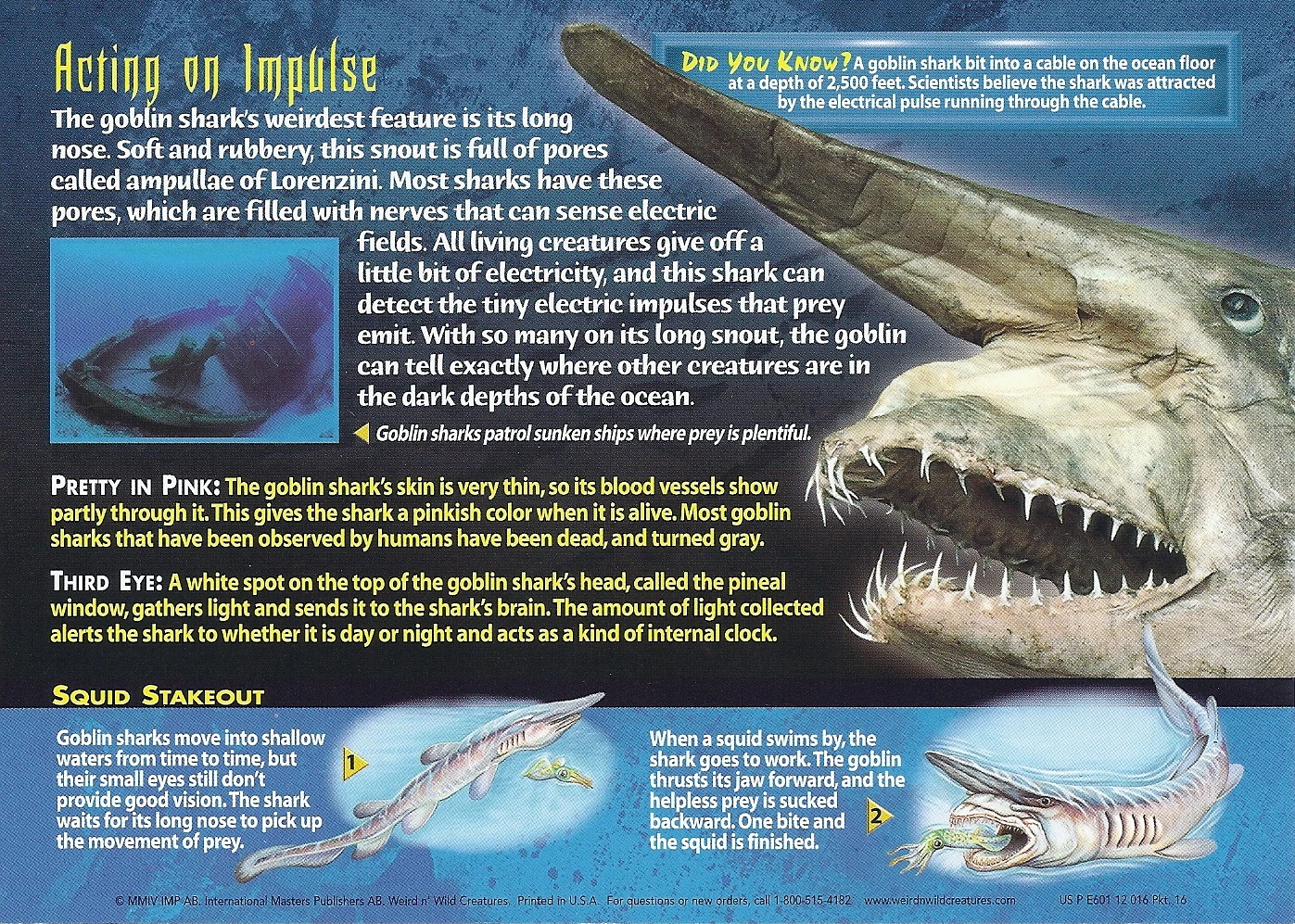 Goblin Shark - Wierd N'wild Creatures Wiki