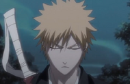 240Ichigo concentrates