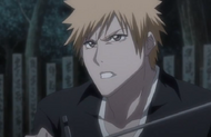 240Ichigo wonders