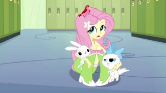 Fluttershy - Equestria Girls Wiki