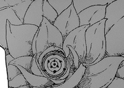 Ojo de shinju