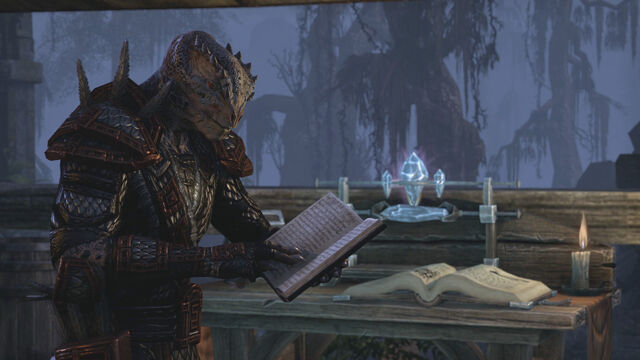 File:Argonian Reading a Book.jpg